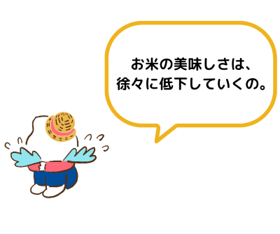 内容量の決め方