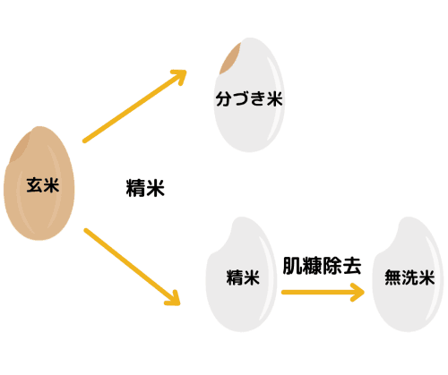 種類の決め方