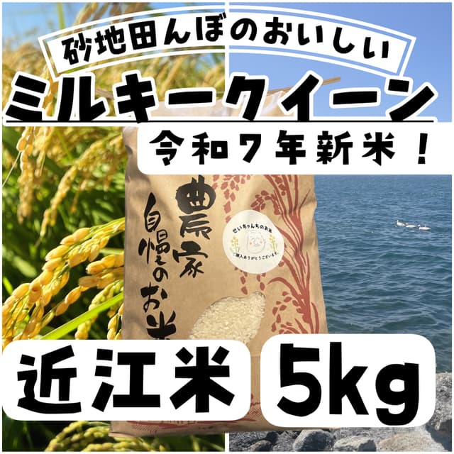 【令和7年度新米】近江米 ミルキークイーン5kg 滋賀県産 画像1
