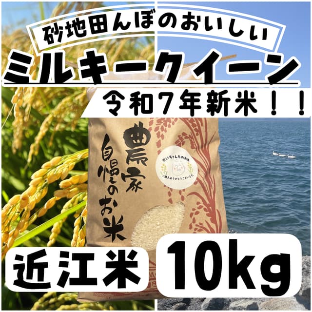 【令和7年度新米】近江米 ミルキークイーン10kg 滋賀県産 画像1