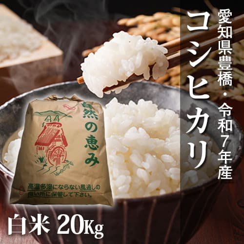 【節減対象農薬6割減】コシヒカリ 白米20kg【令和7年・愛知県産】 メイン画像