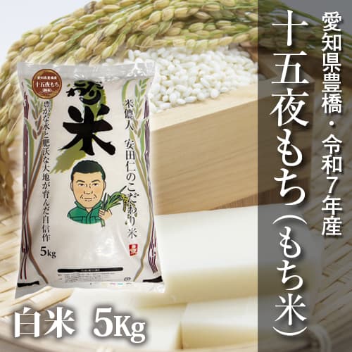 【節減対象農薬6割減】十五夜もち(もち米) 白米5kg【令和7年・愛知県産】 メイン画像