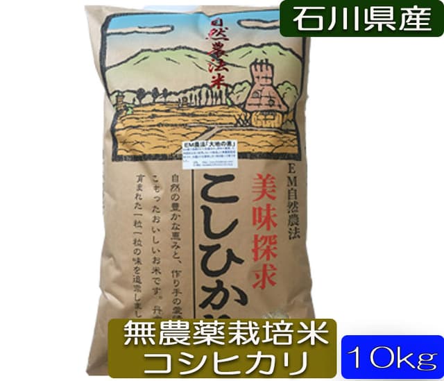 令和7年産 新米 EM自然農法 無農薬米 大地の恵み コシヒカリ 白米 10kg 1等級 画像1