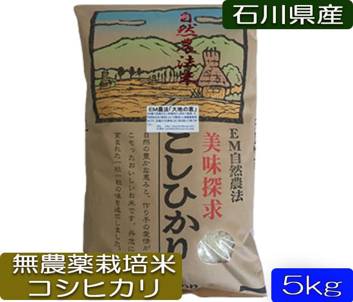 令和7年産 新米 自然農法 無農薬米 大地の恵み コシヒカリ 玄米 5kg 1等級 メイン画像