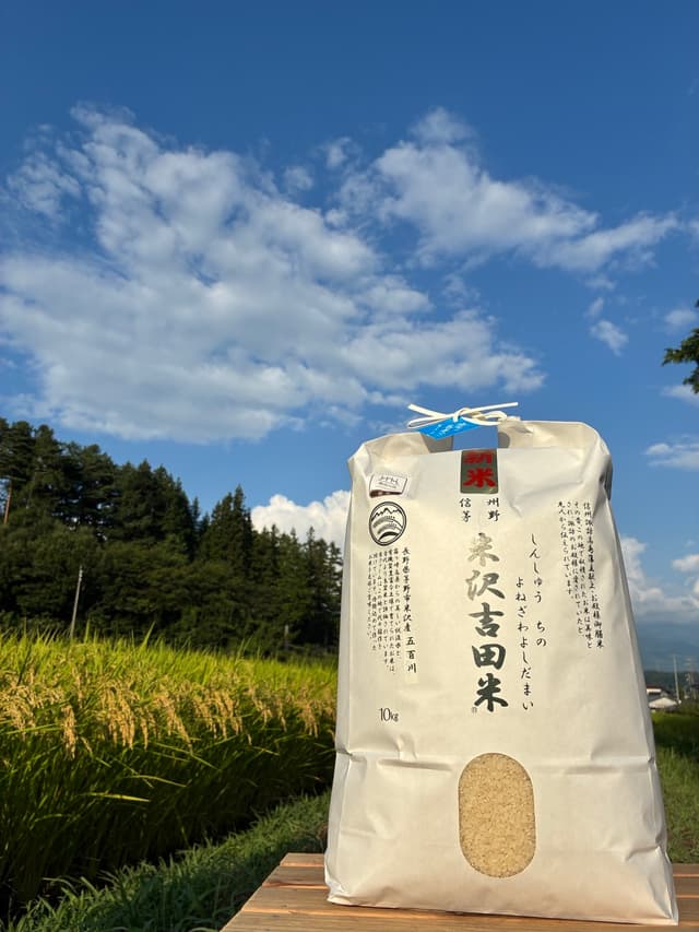 【新米】令和8年長野県産コシヒカリ系早生品種 五百川 精米10㎏ 画像1