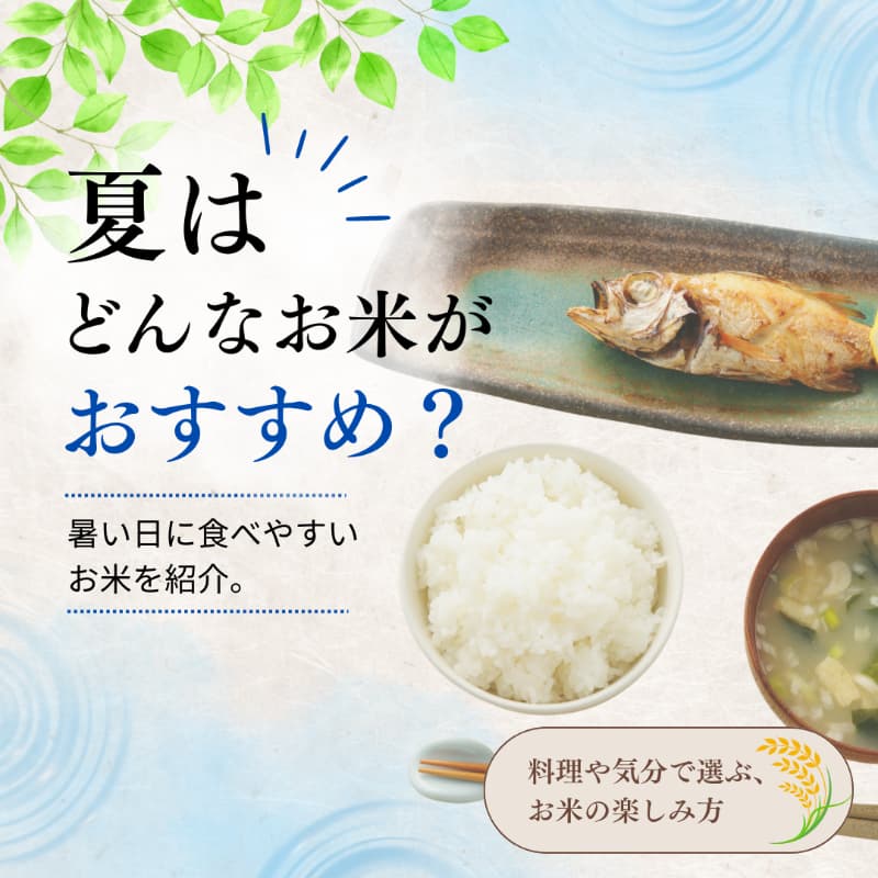 夏はどんなお米がおすすめ? 食味チャートで見つける、暑い日に食べやすいお米。