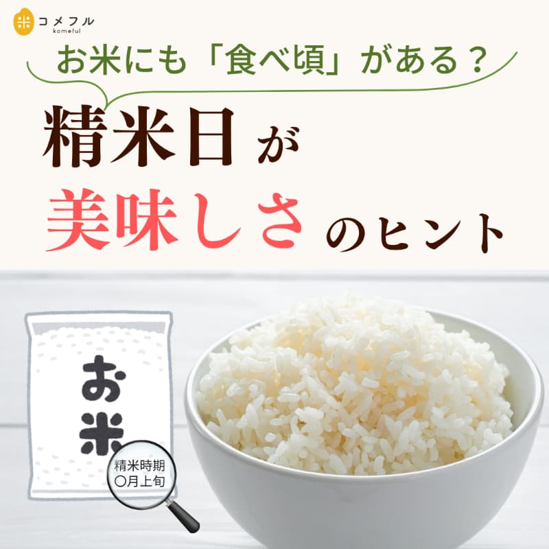 お米にも「食べ頃」がある?精米日がおいしさのヒント