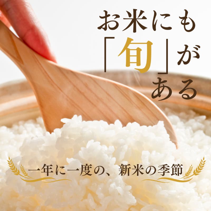 新米とは?一年に一度の“お米の旬”を味わおう