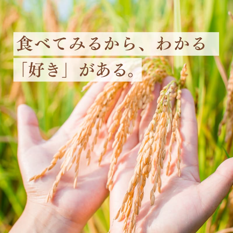 農場紹介