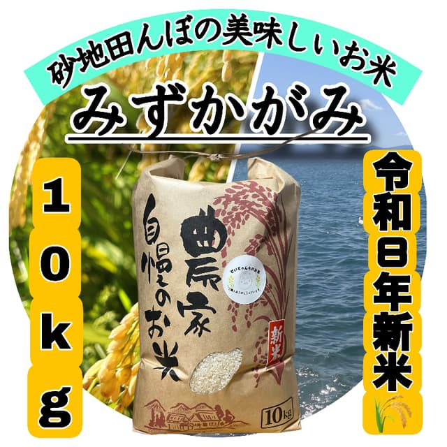 【令和8年度新米】近江米 滋賀県産 みずかがみ10kg 画像1