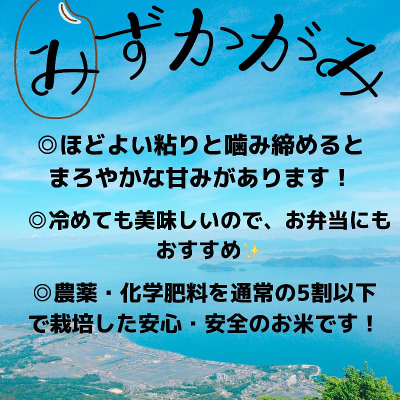 【令和8年度新米】近江米 滋賀県産 みずかがみ10kg 画像2