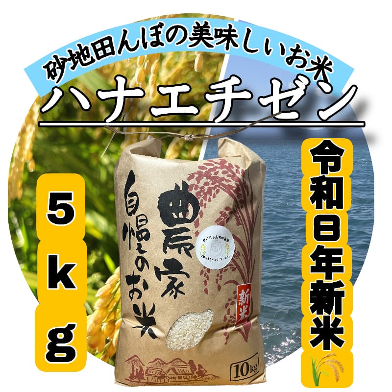 【令和8年産新米】近江米 滋賀県産 ハナエチゼン 5kg メイン画像