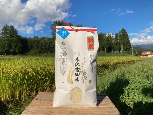 【新米】令和8年長野県産コシヒカリ系早生品種 五百川 精米10㎏(5㎏×2個) 画像1