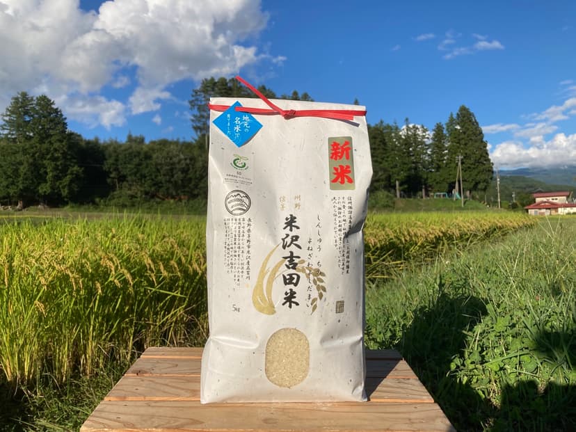 【新米】令和8年長野県産コシヒカリ系早生品種 五百川 精米10㎏(5㎏×2個) メイン画像