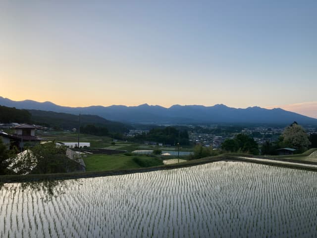 【新米】令和8年長野県産コシヒカリ系早生品種 五百川 精米10㎏(5㎏×2個) 画像2