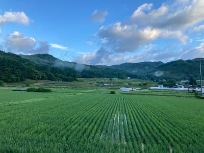 【新米】令和8年長野県産コシヒカリ系早生品種 五百川 精米10㎏(5㎏×2個) 画像3