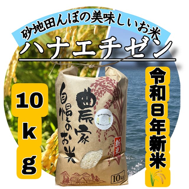 【令和8年産新米】近江米 滋賀県産 ハナエチゼン 10kg 画像1