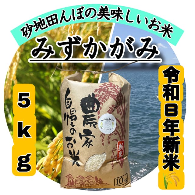 【令和8年度新米】近江米 滋賀県産 みずかがみ5kg 画像1