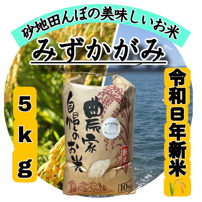 【令和8年度新米】近江米 滋賀県産 みずかがみ5kg メイン画像