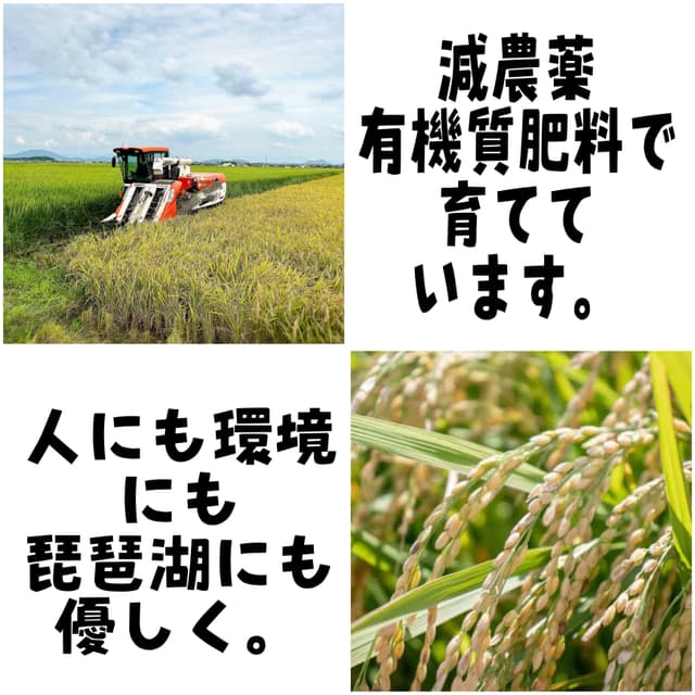 【令和8年度新米】近江米 滋賀県産 みずかがみ5kg 画像3
