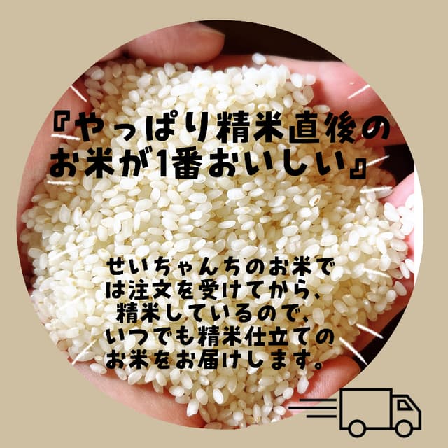 【令和8年度新米】近江米 滋賀県産 みずかがみ5kg 画像5