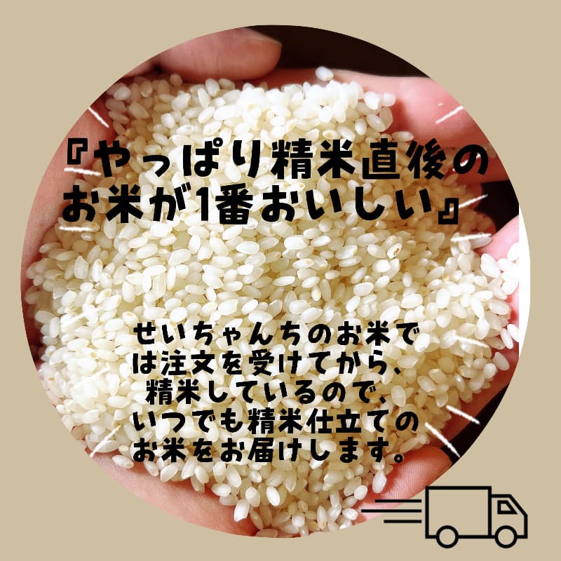 【令和8年度新米】近江米 滋賀県産 みずかがみ5kg 画像5