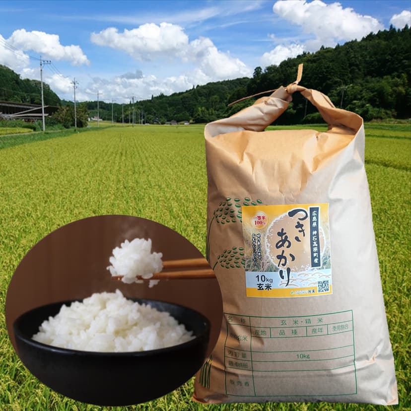 【令和8年産新米・毎日ごはんに】うま味しっかり、冷めてもおいしい|つきあかり玄米10kg メイン画像