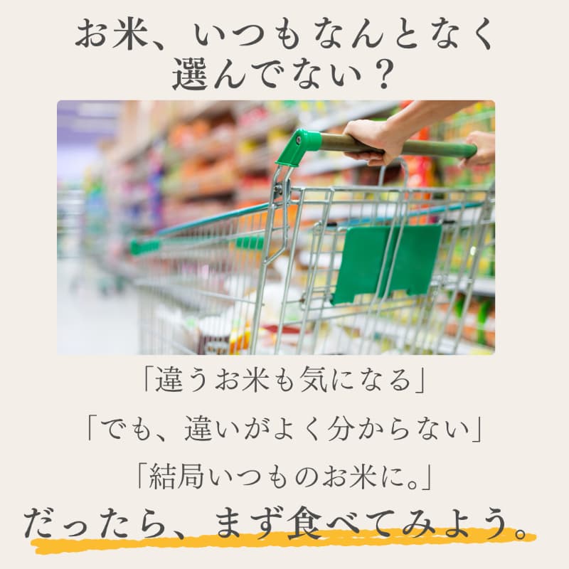 【お米食べ比べ便】5kg×3回 食べてみるからわかる、好きがある。 画像2