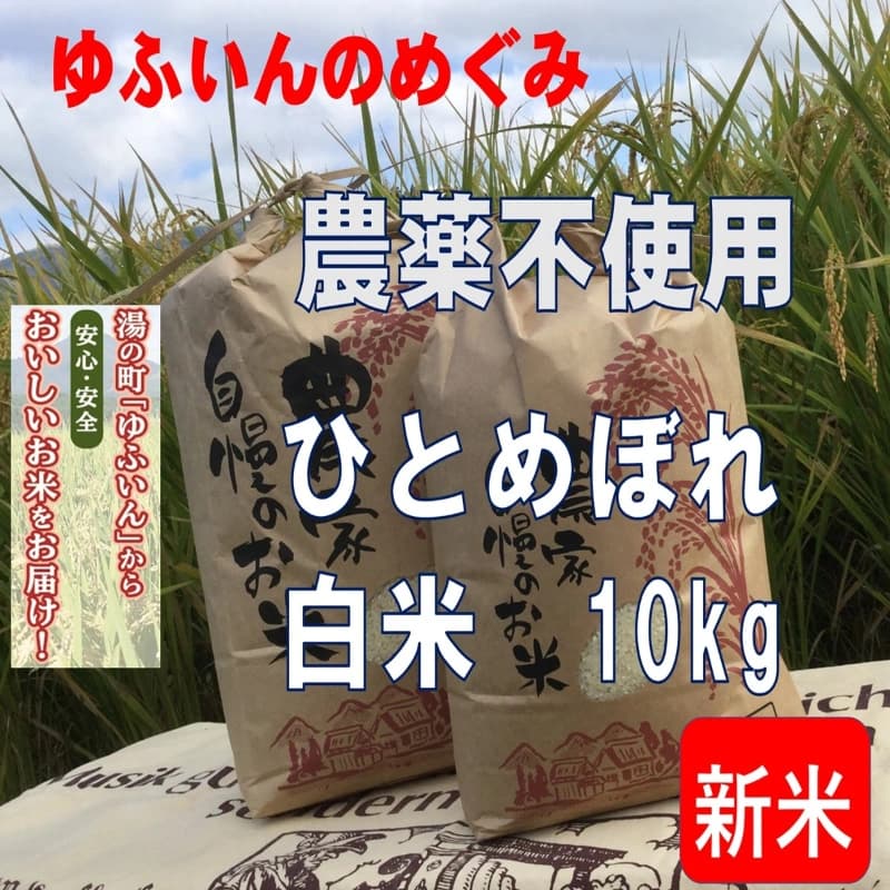 2026年産新米 ゆふいんのめぐみ"ひとめぼれ白米10kg メイン画像