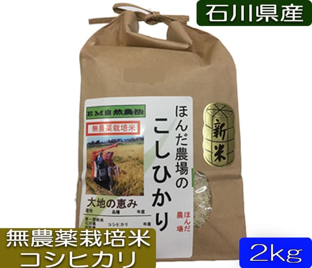 令和7年産 新米 自然農法 無農薬米 大地の恵み コシヒカリ 玄米 2kg 1等級 画像1