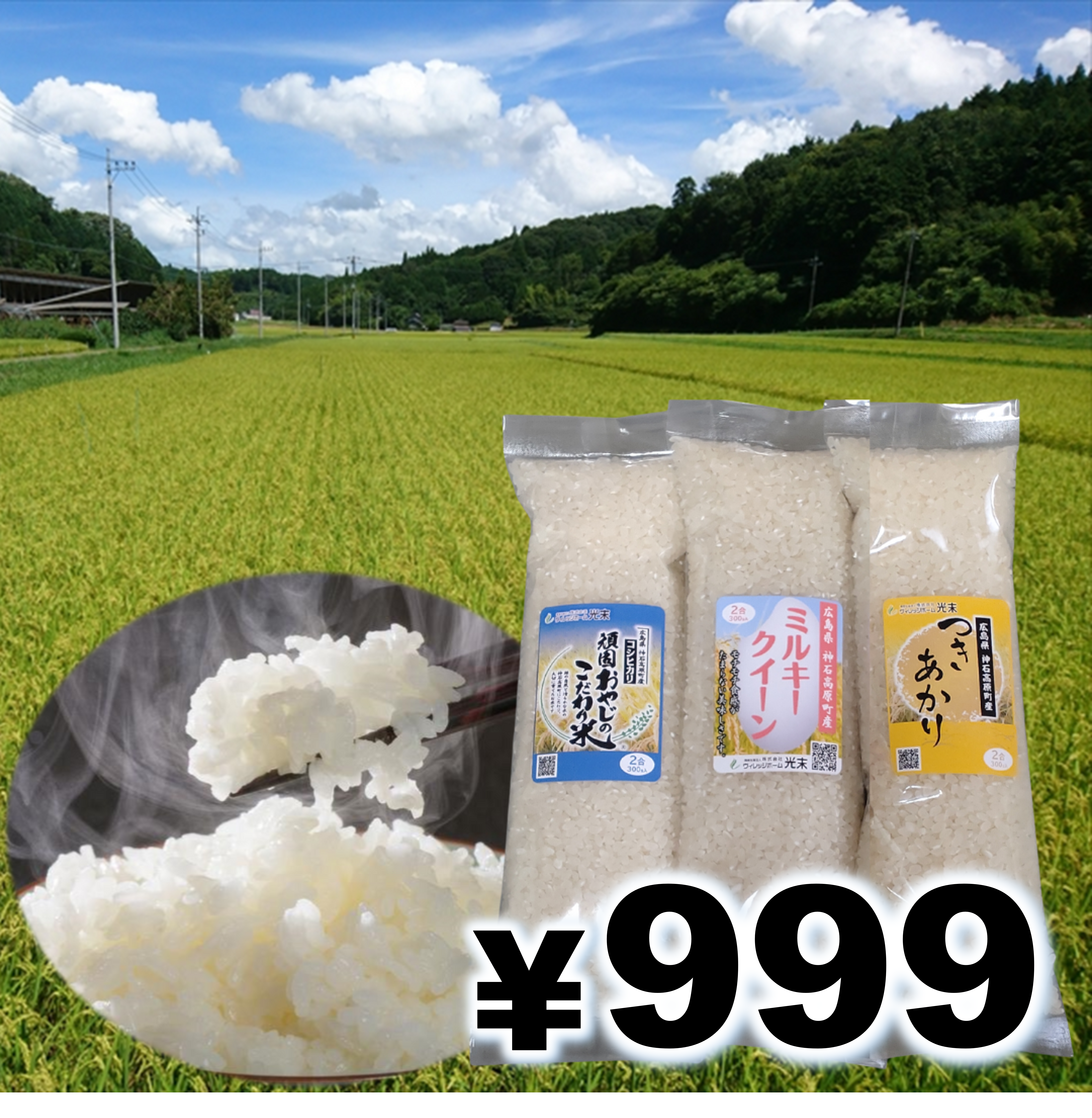 【お試し食べ比べ･送料無料】 令和6年産の個性豊かな3つの品種を一度にお届けします！(ヴィレッジホーム光末さん)のメインイメージ