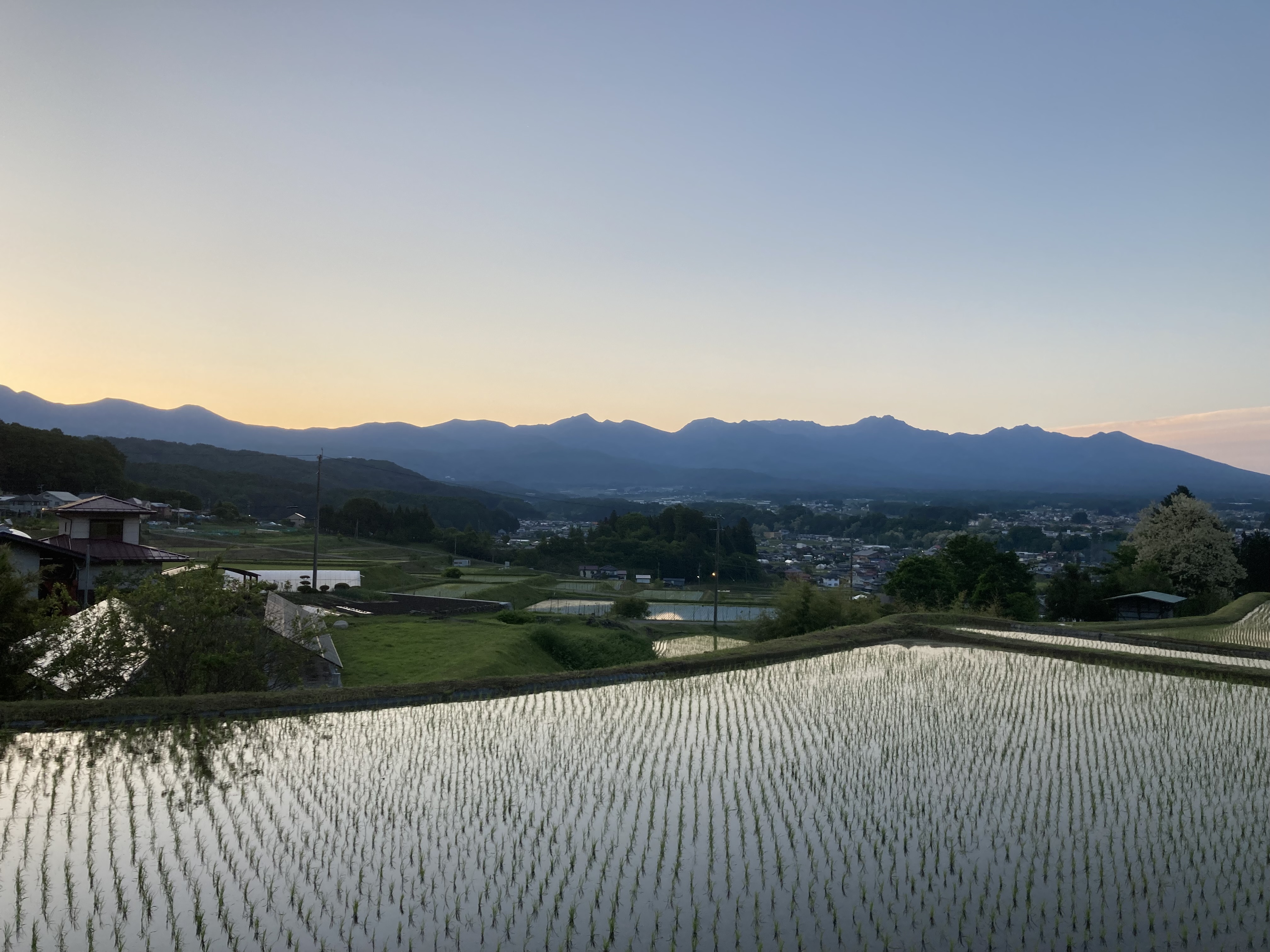 【新米】令和7年長野県産コシヒカリ系早生品種　五百川　精米20㎏(10kg×2袋）(信州茅野米沢ファーム（SCYF）さん)のメインイメージ