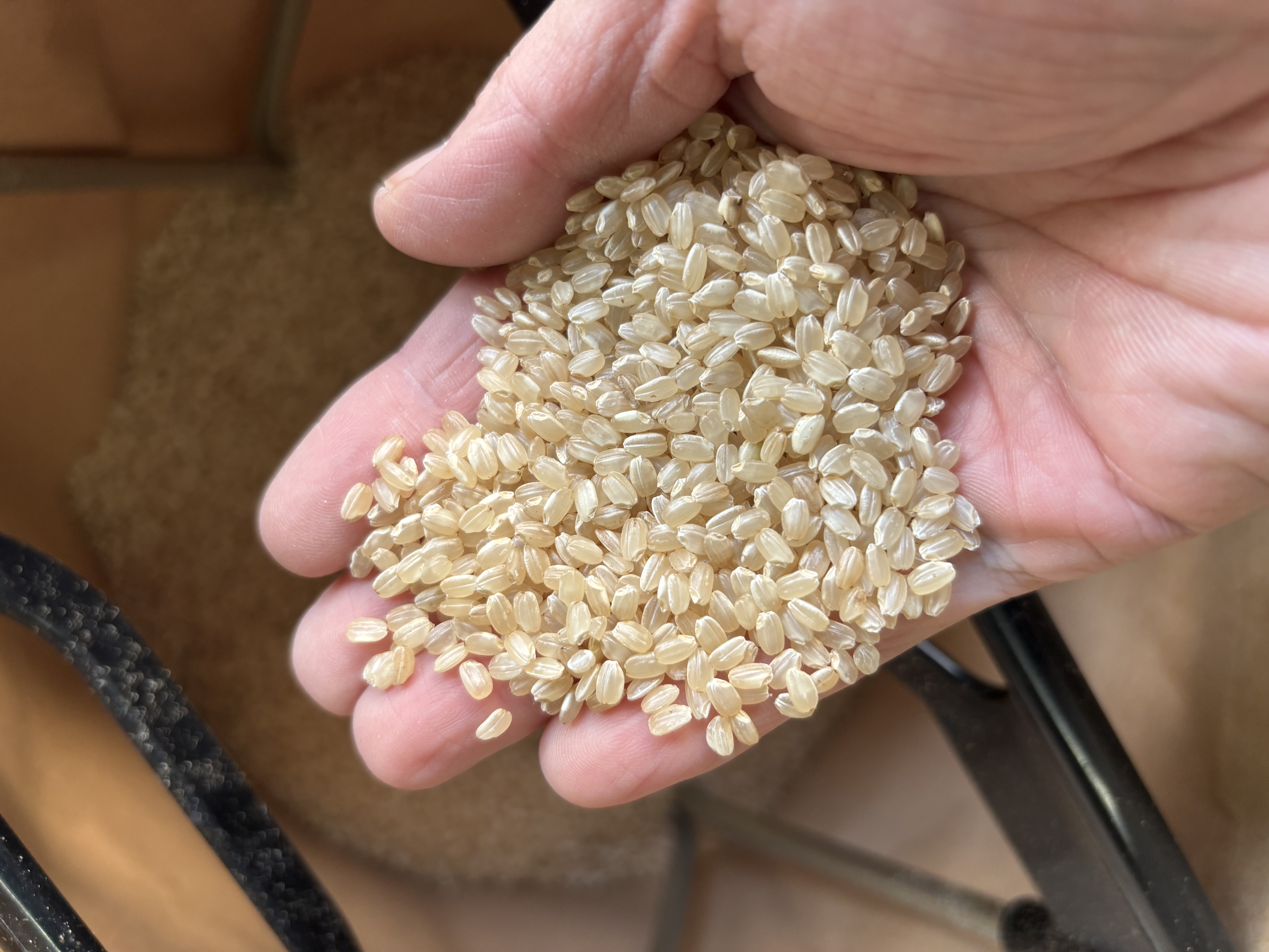 令和7年兵庫県産　名倉穂　玄米　30kg(朝日自然農園さん)のメインイメージ