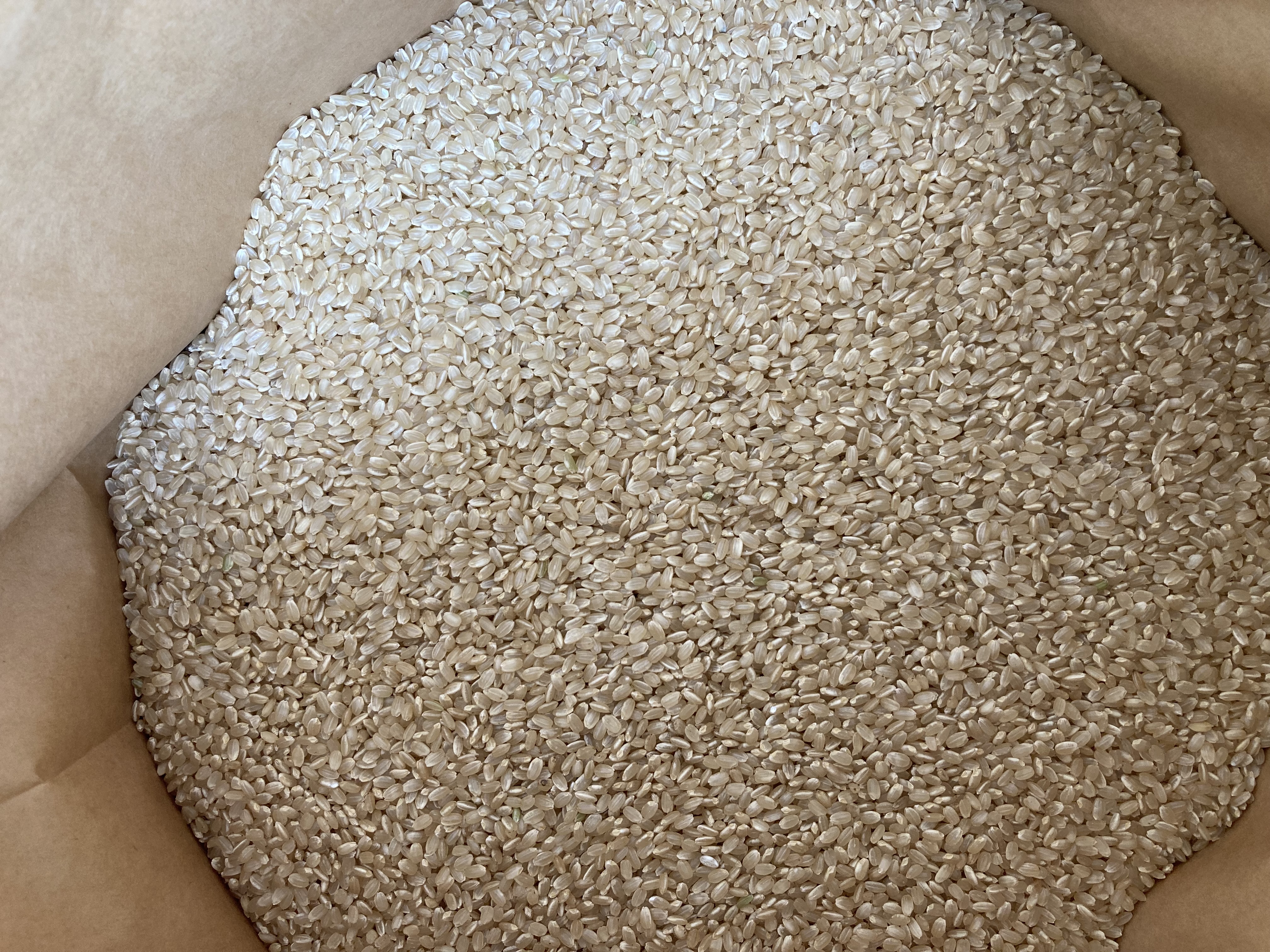 朝日　自然栽培　玄米　30kg(朝日自然農園さん)のメインイメージ