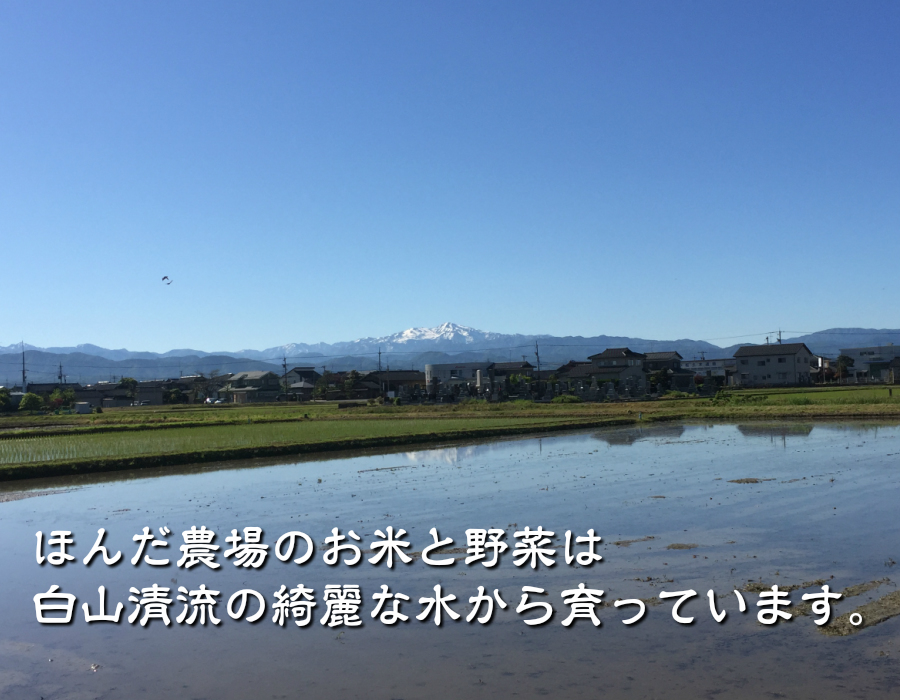 令和6年産 新米 EM自然農法 有機栽培 水の精 コシヒカリ 白米 2kg 1等級(ほんだ農場さん)のメインイメージ