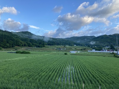 【新米】令和7年長野県産コシヒカリ系早生品種　五百川　精米20㎏(10kg×2袋）(信州茅野米沢ファーム（SCYF）さん)のメインイメージ