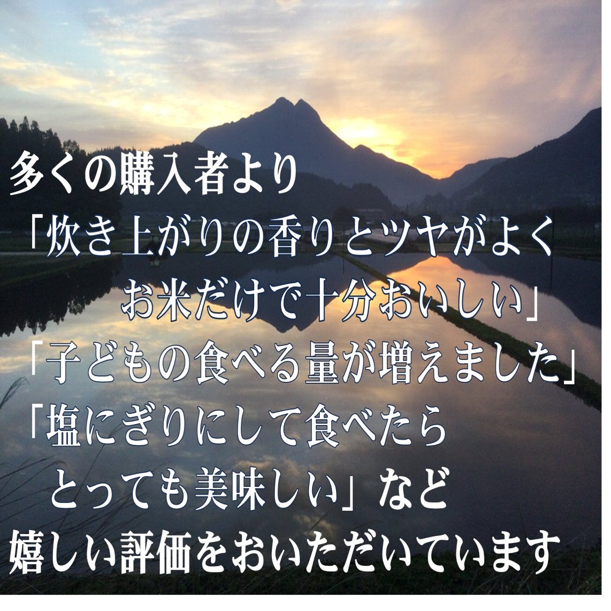 2024年産ゆふいんのめぐみ　ひのひかり白米白米9.8kg(佐藤　孝博さん)のメインイメージ