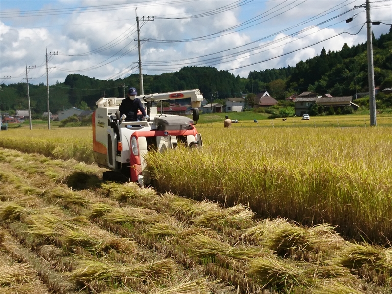 【新米・令和6年産】ミルキークイーン精米4kg(2kg×2)もちもち食感がたまりません！(ヴィレッジホーム光末さん)のメインイメージ